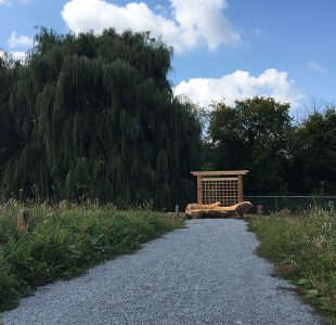 View of Willow's Rest Green Burial Ground