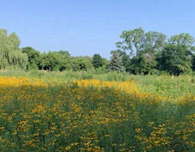 Mark Richardson Interview